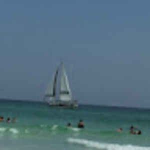 Meet your Posher, Abigail